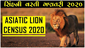 LION CENSUS -GUJARAT