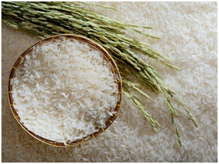 FCI’S SURPLUS RICE STOCKS TO BE CONVERTED INTO ETHANOL TO MAKE HAND SANITISERS