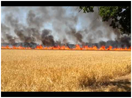 STUBBLE BURNING IN PUNJAB — AIR POLLUTION
