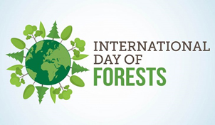 INTERNATIONAL DAY OF FORESTS