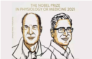 NOBEL PRIZE FOR MEDICINE 2021
